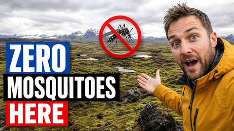Thumbnail: een man wijst naar een IJslands landschap, met de tekst Zero mosquitoes here